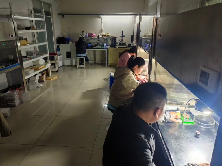 Cementing rod lens assemblies at HSD Optical